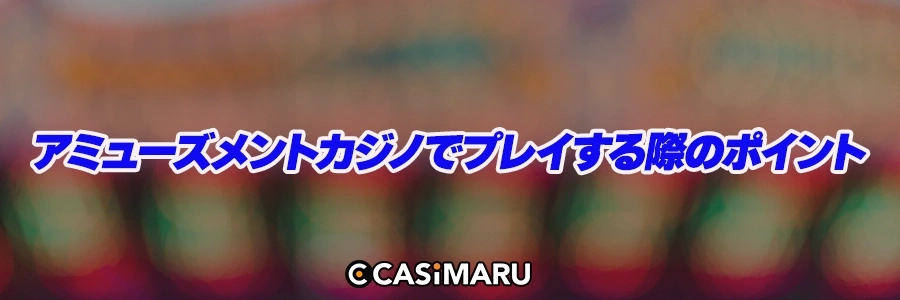 アミューズメントカジノでプレイする際のポイントのバナー