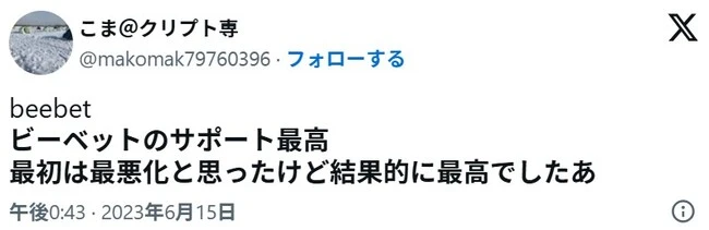ビーベットの口コミ2