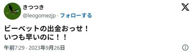 ビーベットの口コミ5