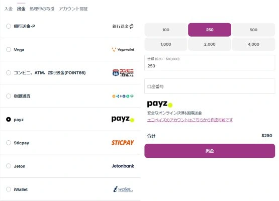 カジノシークレットの出金方法のペイズ