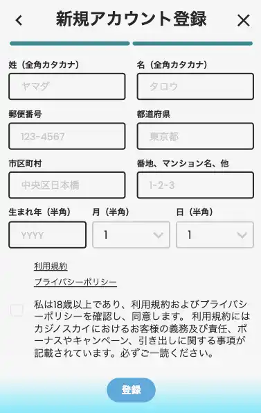 カジノスカイの登録画面