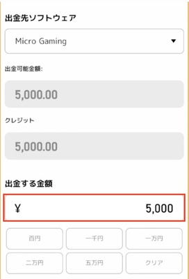 エルドアカジノの出金手順の出金金額入力
