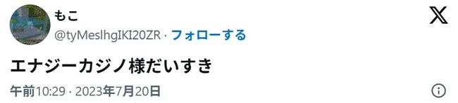 エナジーカジノの口コミ2