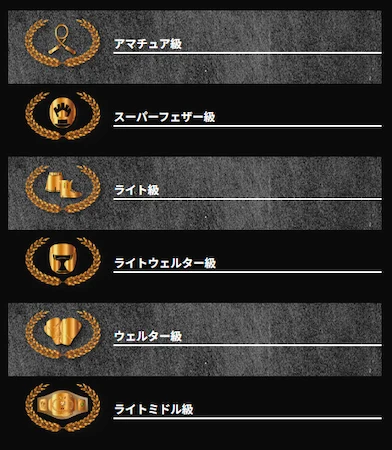 ハントカジノのVIPランク