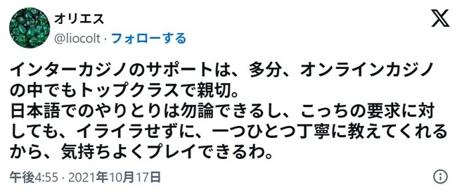 インターカジノの口コミ2