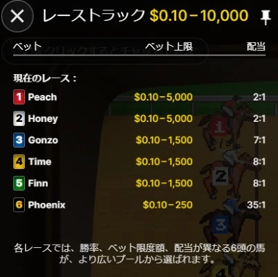 レーストラックライブの賭け方と配当