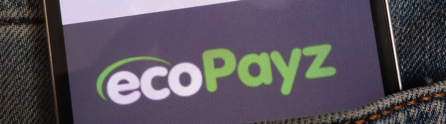 transaction-method-electric-payment