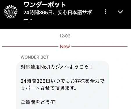 ワンダーカジノのチャット